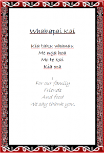 Te Reo Maori | Toko School